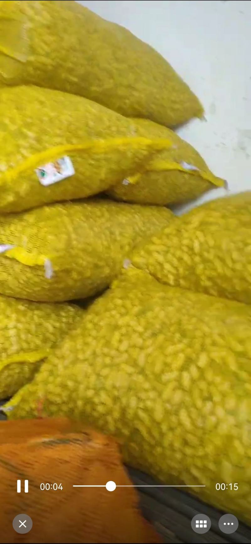精品花生