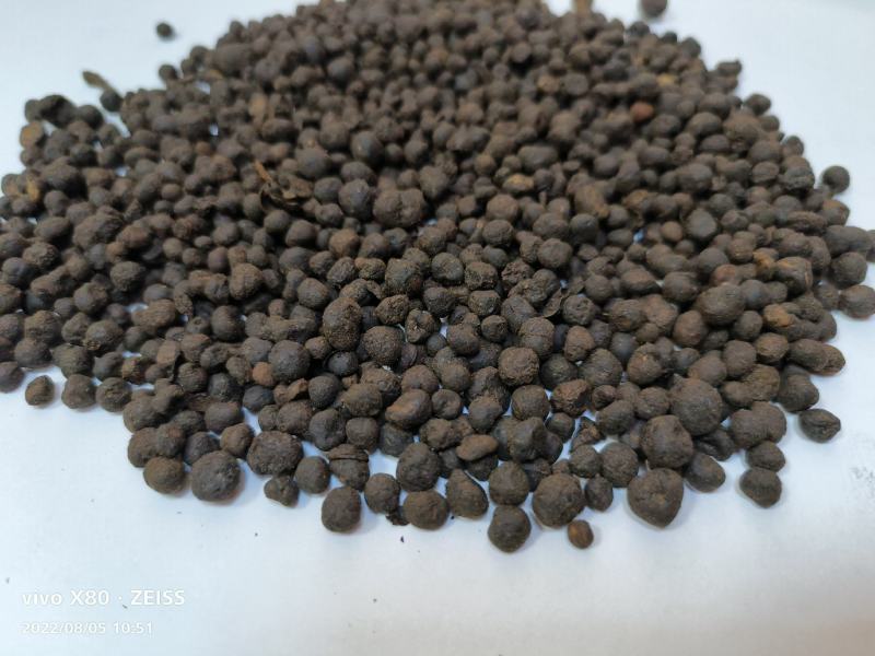 地下明珠陈伤子一粒金丹茅膏菜根干货包邮