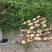 湖北早藕莲藕鄂莲6号9号大量上市产地直发质量保证