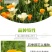 花菱草种子春秋冬耐寒花卉室内阳台盆栽室外庭院易种活四季花
