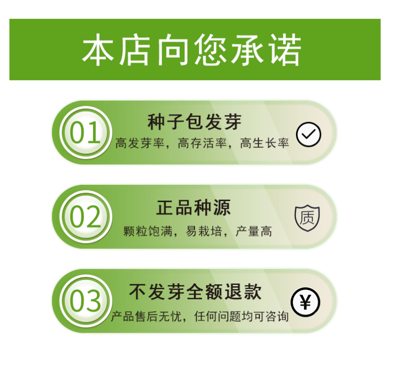 花菱草种子春秋冬耐寒花卉室内阳台盆栽室外庭院易种活四季花