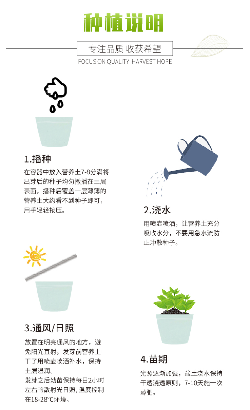 花菱草种子春秋冬耐寒花卉室内阳台盆栽室外庭院易种活四季花