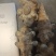 灵宝早熟洋姜基地200亩承接电商平台有实力档口观果订货