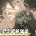 灵宝早熟洋姜基地200亩承接电商平台有实力档口观果订货