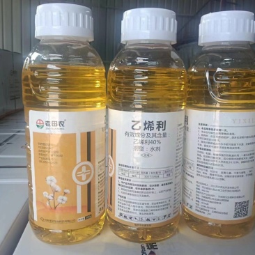 乙烯利催熟剂辣椒棉花等大包装使用方便