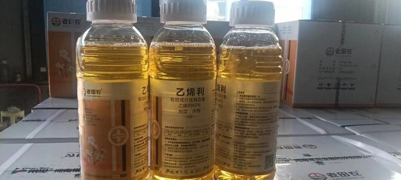 乙烯利催熟剂辣椒棉花等大包装使用方便