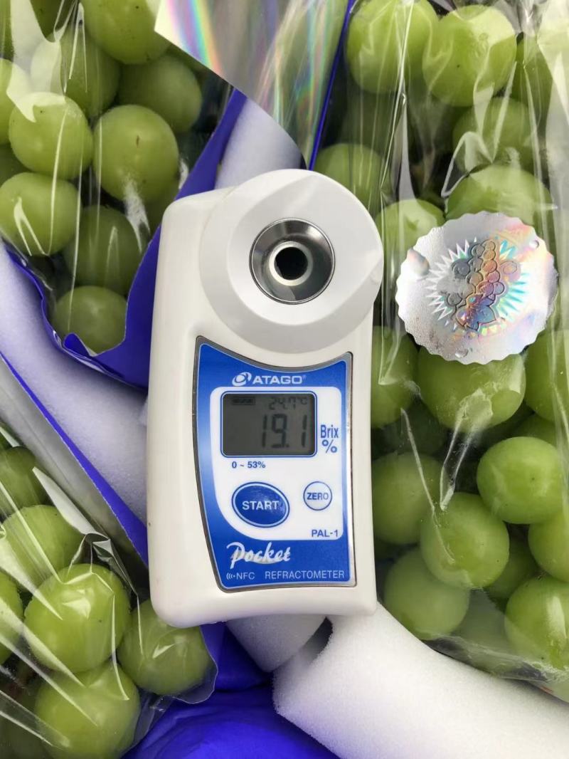 【精品】陕西阳光玫瑰葡萄，皮薄肉厚产地直发，欢迎采购