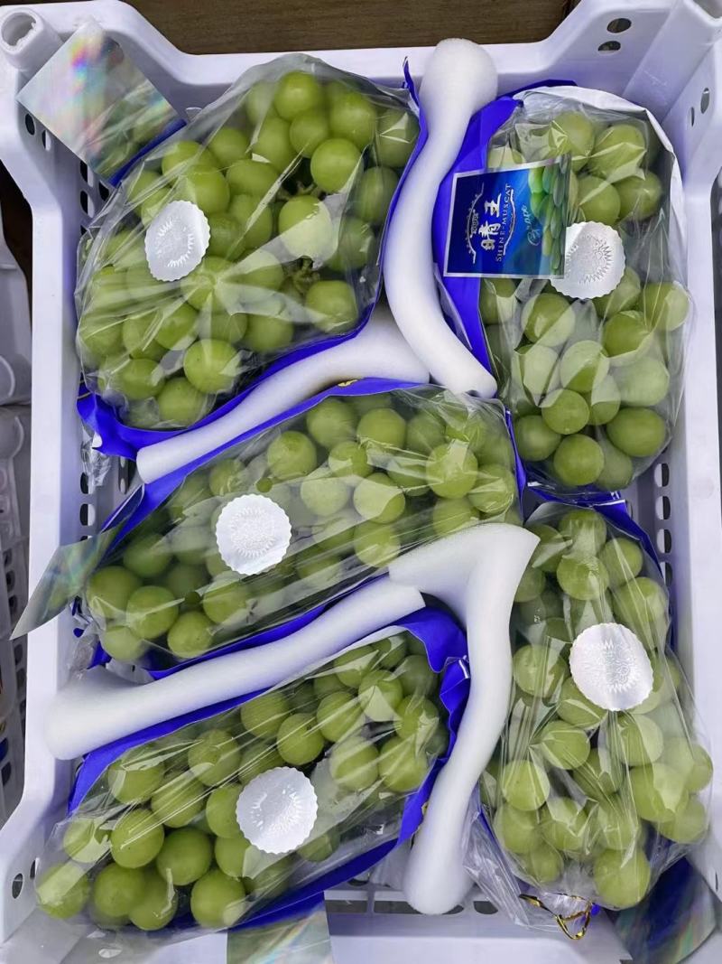 【精品】陕西阳光玫瑰葡萄，皮薄肉厚产地直发，欢迎采购