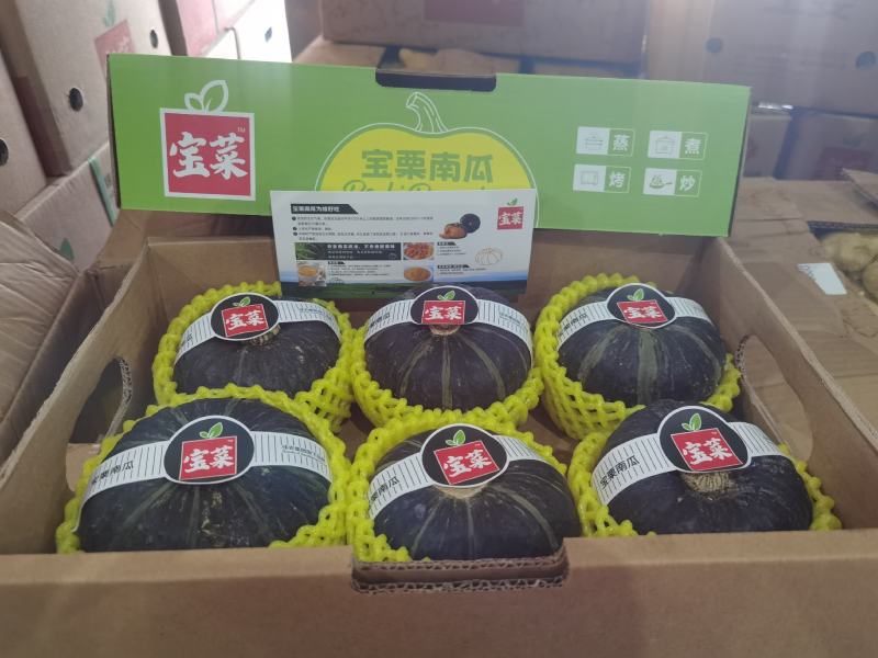 正宗惠和一号贝贝南瓜
