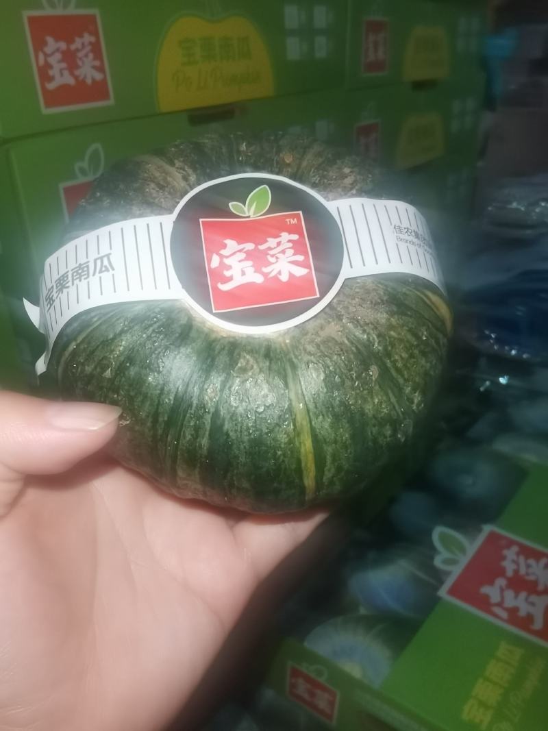 正宗惠和一号贝贝南瓜