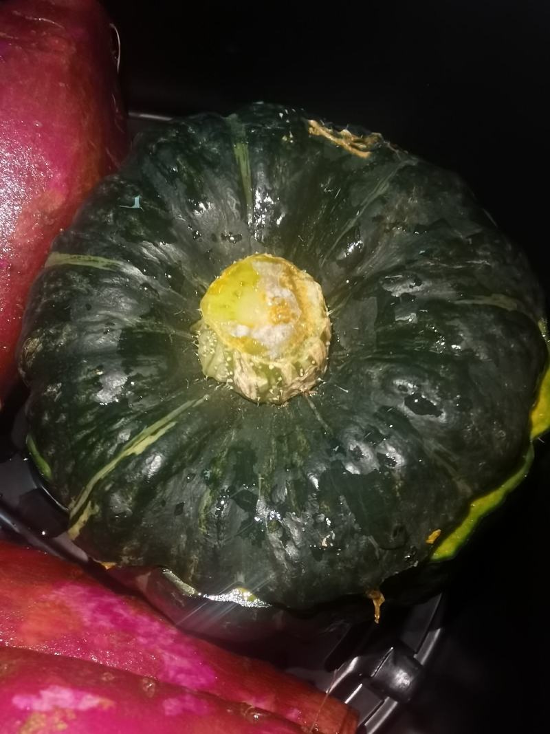 正宗惠和一号贝贝南瓜