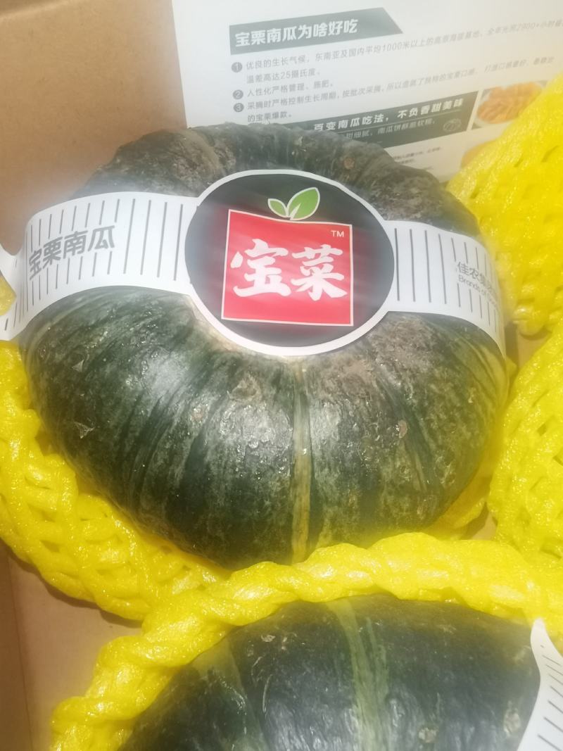 正宗惠和一号贝贝南瓜