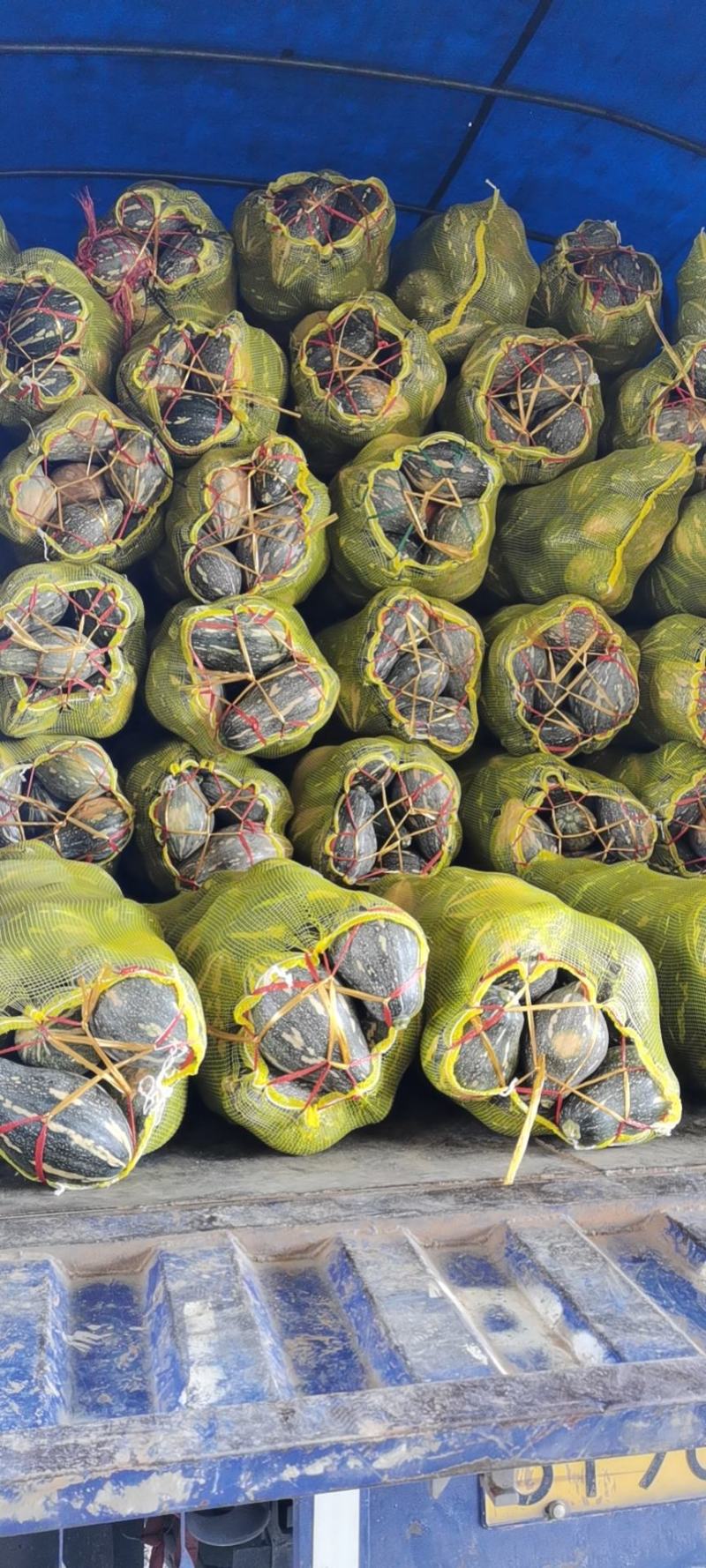 千亩二季瓜香芋南瓜浓香型又粉又糯好吃