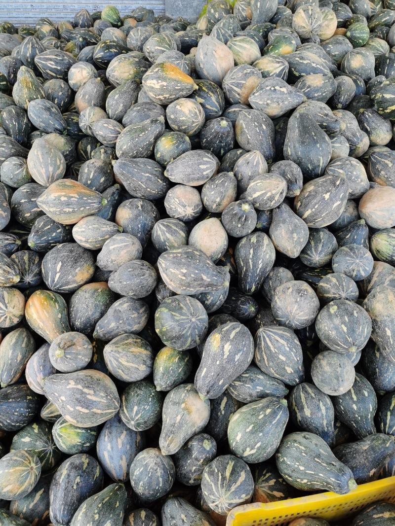 千亩二季瓜香芋南瓜浓香型又粉又糯好吃