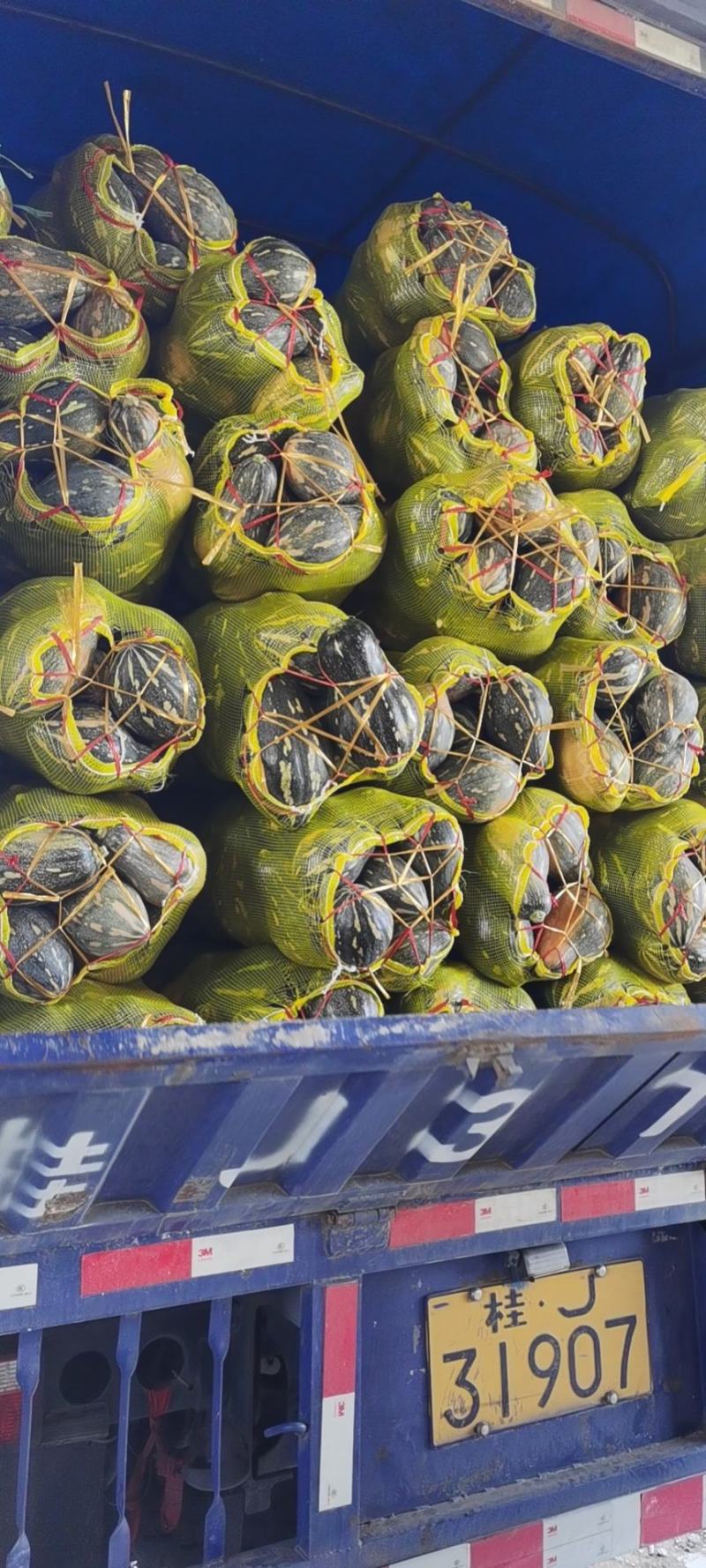 千亩二季瓜香芋南瓜浓香型又粉又糯好吃