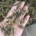 清水全蝎河南产全虫500克一包新货一斤包邮
