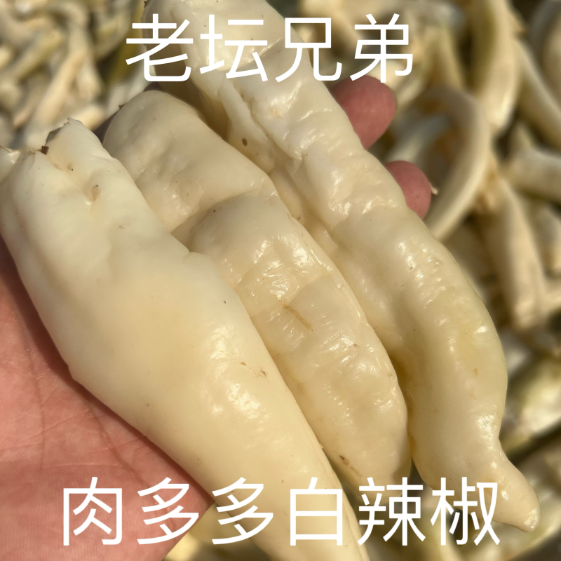 肉多多白辣椒卜辣椒曝辣椒