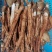 野生菌鸡纵，