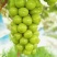 葡萄【陕西大荔精品阳光玫瑰葡萄】阳光玫瑰葡萄批发价格