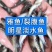 四川眉山雅鱼苗裂腹鱼细鳞鱼淡水养殖特种鱼苗包邮成活率高鱼