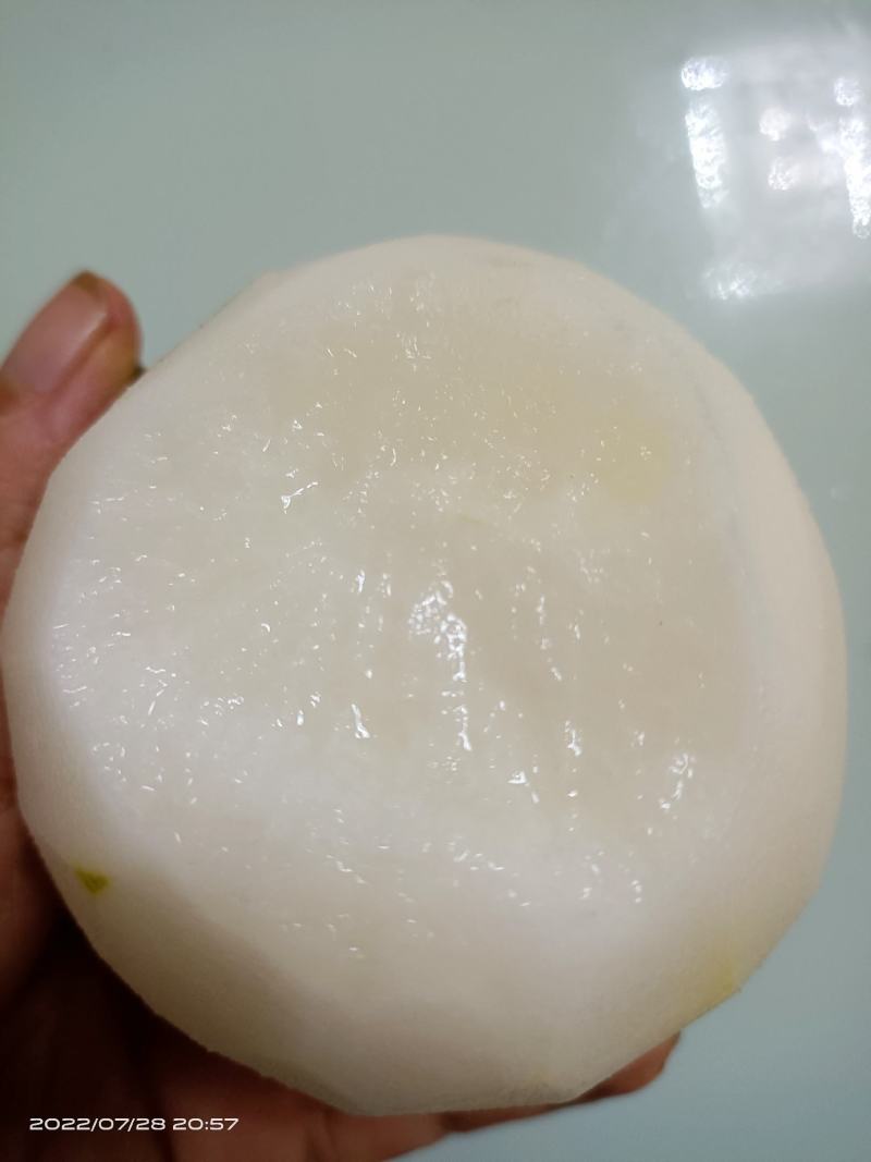 黄金梨丰水梨，园黄梨，秋月梨大量现货供应货源充足，质优
