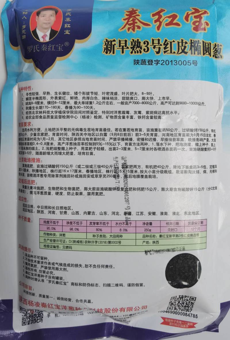 秦红宝洋葱种子新早熟3号洋葱种籽紫红皮扁平半高早上市