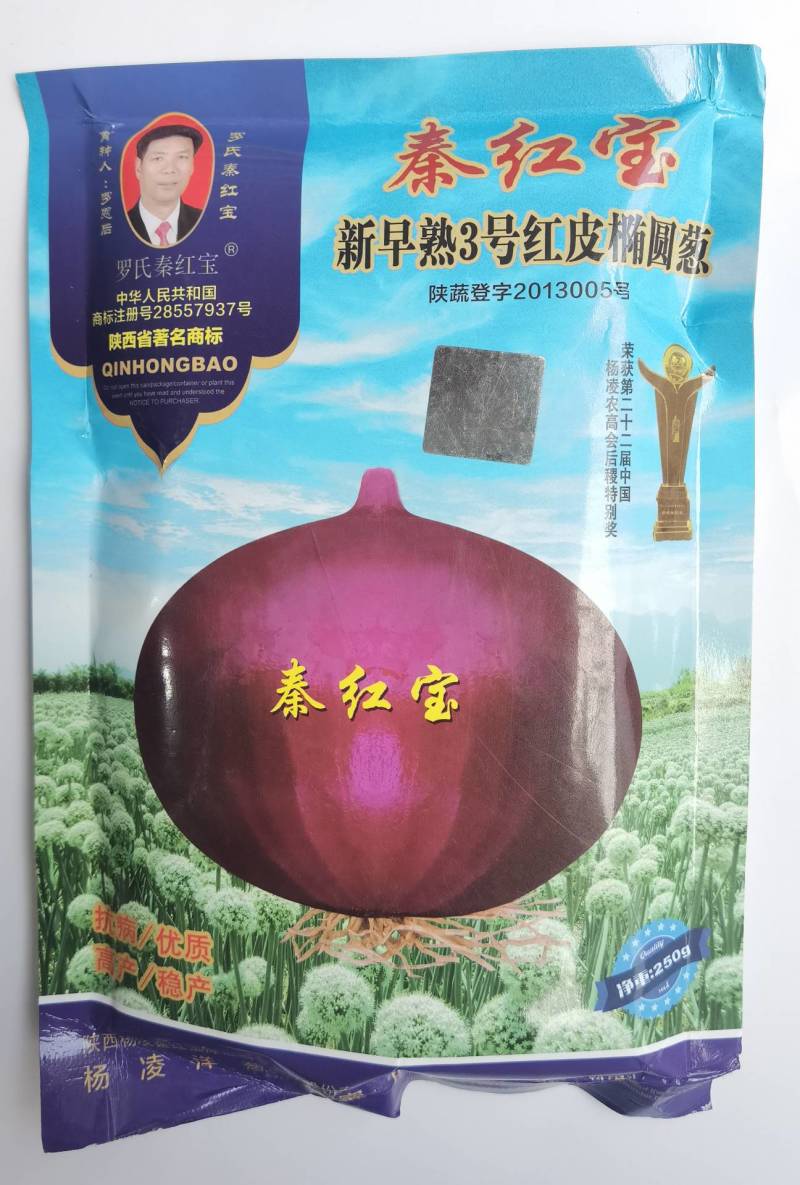 秦红宝洋葱种子新早熟3号洋葱种籽紫红皮扁平半高早上市