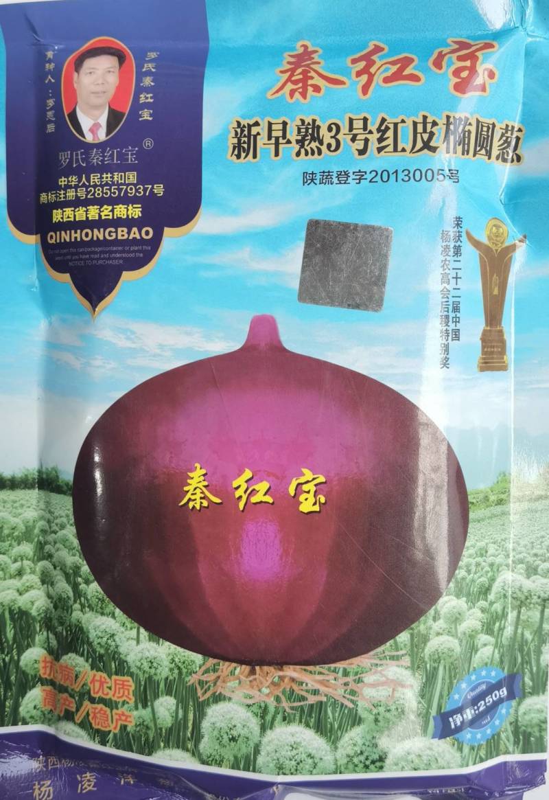 秦红宝洋葱种子新早熟3号洋葱种籽紫红皮扁平半高早上市