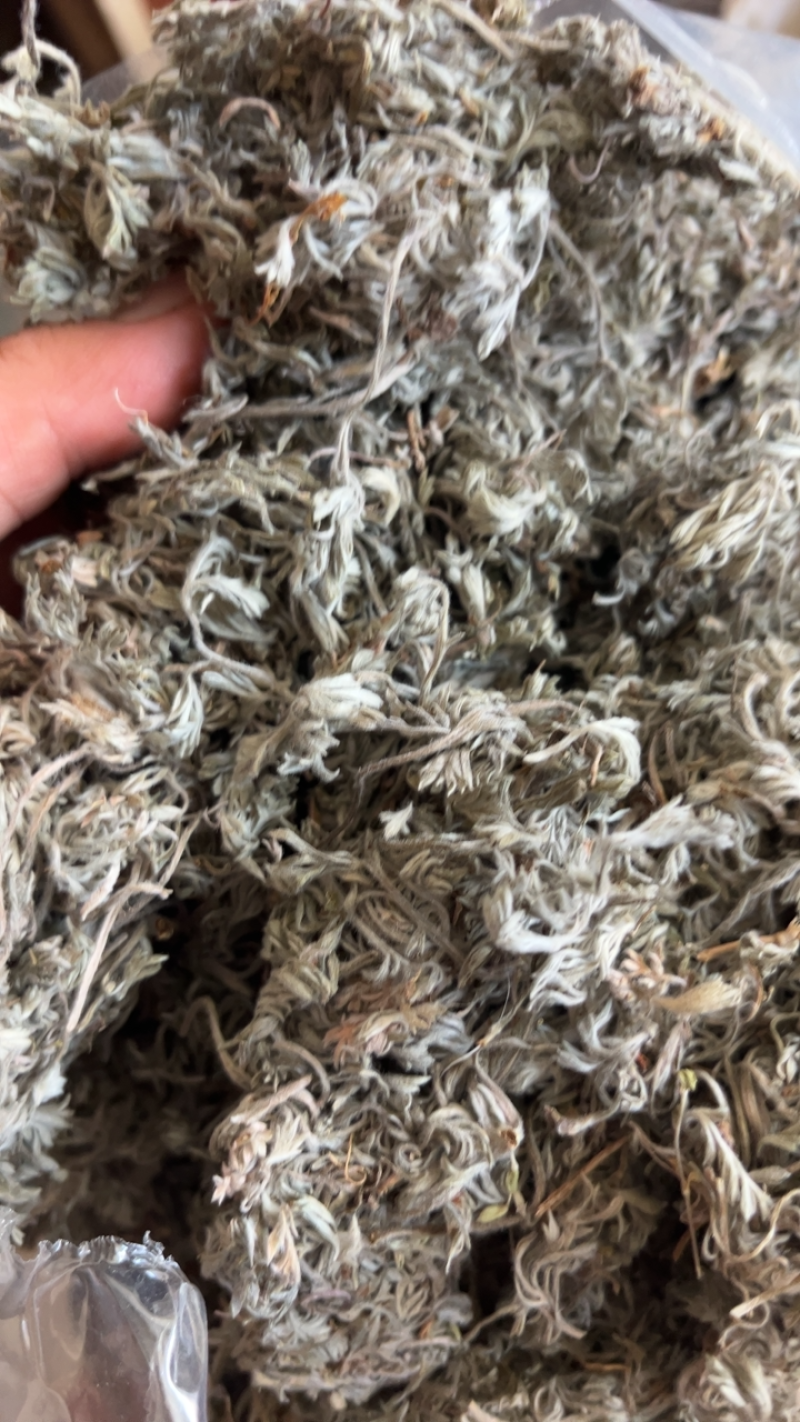 【文斌药业】茵陈绵茵陈量大从优质优价廉