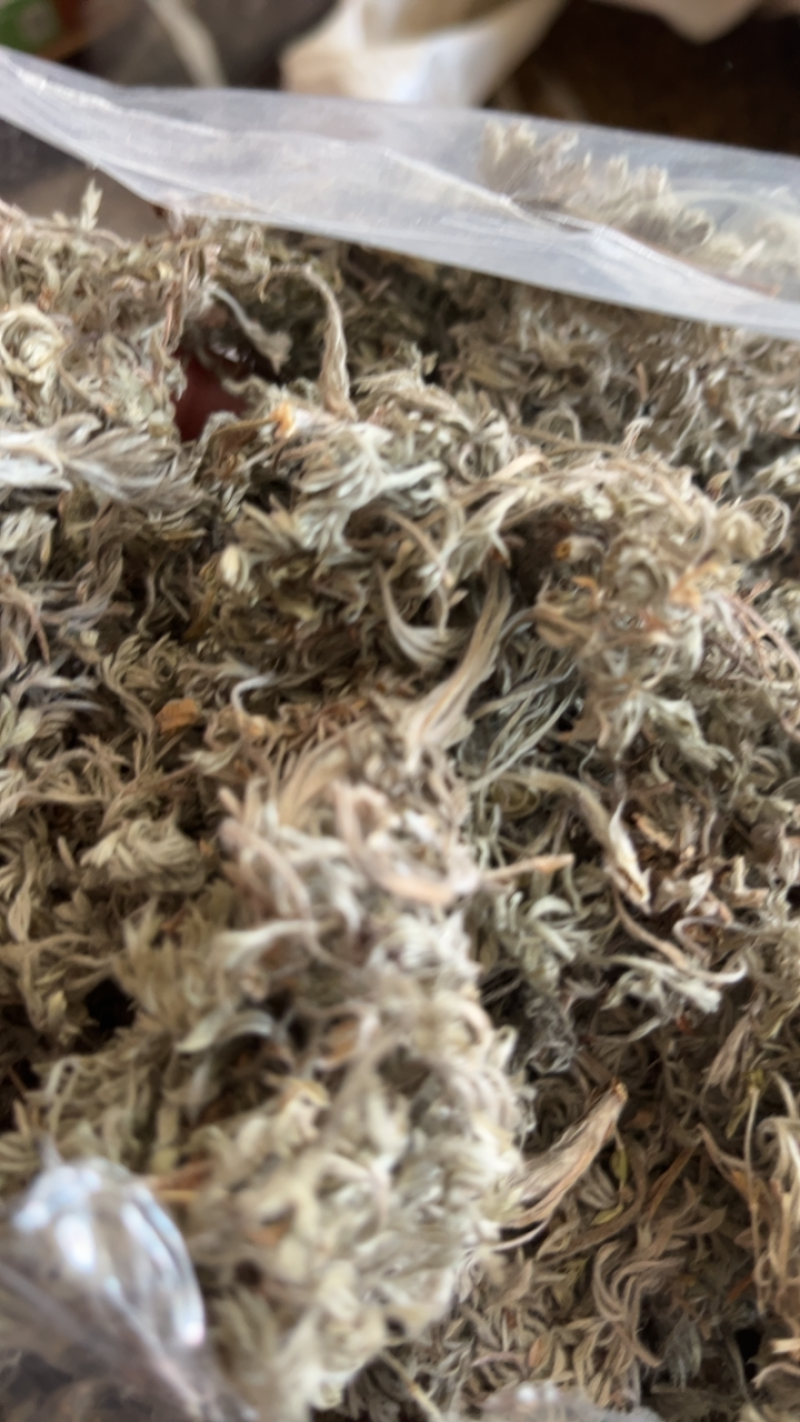【文斌药业】茵陈绵茵陈量大从优质优价廉