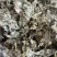 【文斌药业】茵陈绵茵陈量大从优质优价廉