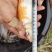 锦鲤多种观赏鱼批发零售鱼场直销视频选鱼全国供应