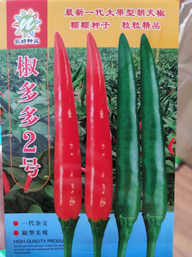 椒多多2号朝天椒辣椒种子1000粒