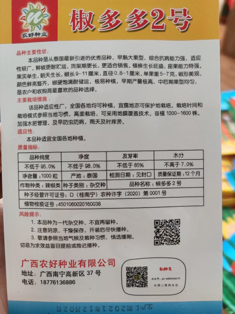 椒多多2号朝天椒辣椒种子1000粒