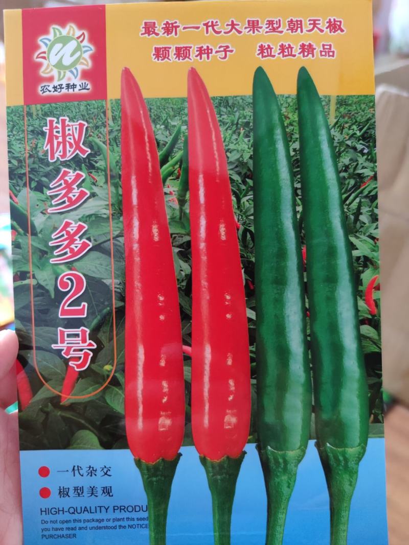 椒多多2号朝天椒辣椒种子1000粒