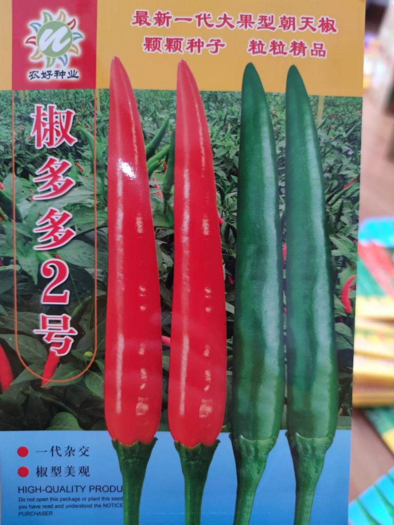 椒多多2号朝天椒辣椒种子1000粒