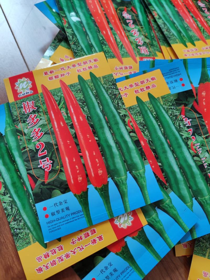 椒多多2号朝天椒辣椒种子1000粒