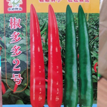 椒多多2号朝天椒辣椒种子1000粒