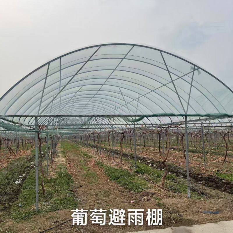 养殖大棚，联动大棚，几字钢大棚，安装一站式服务