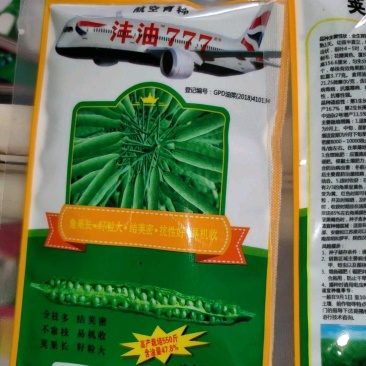 沣油777杂交油菜种子，荚果长籽粒大，高产550斤