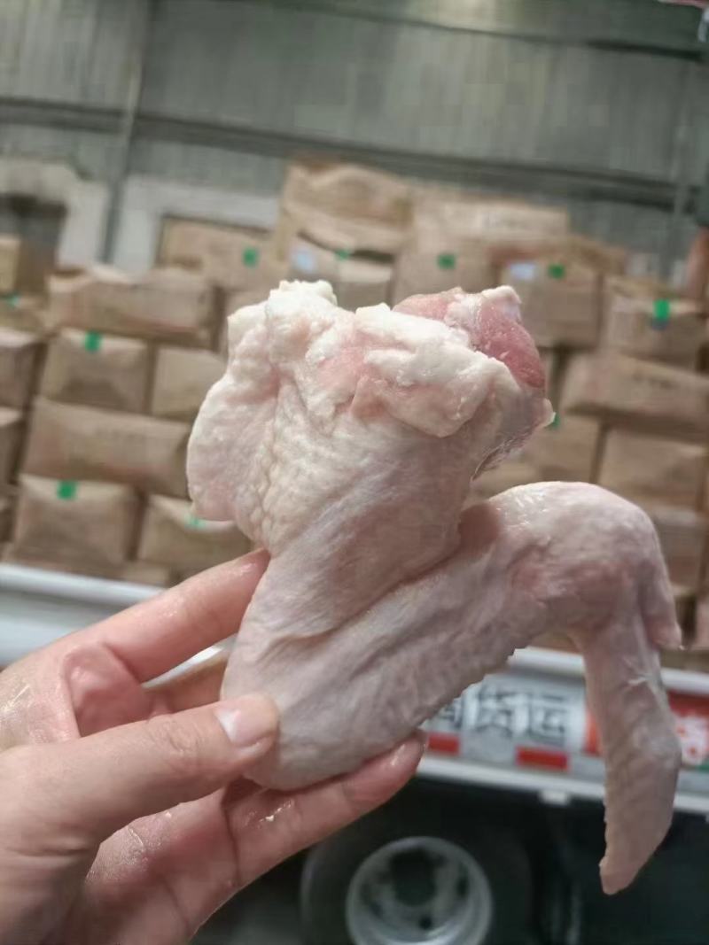 新鲜冷冻生鸭翅鸭三节翅膀带箱饭店卤菜店食材批发一手货源