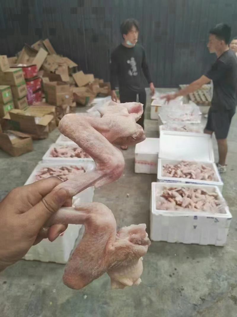 新鲜冷冻生鸭翅鸭三节翅膀带箱饭店卤菜店食材批发一手货源
