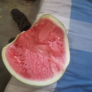 麒麟二茬瓜