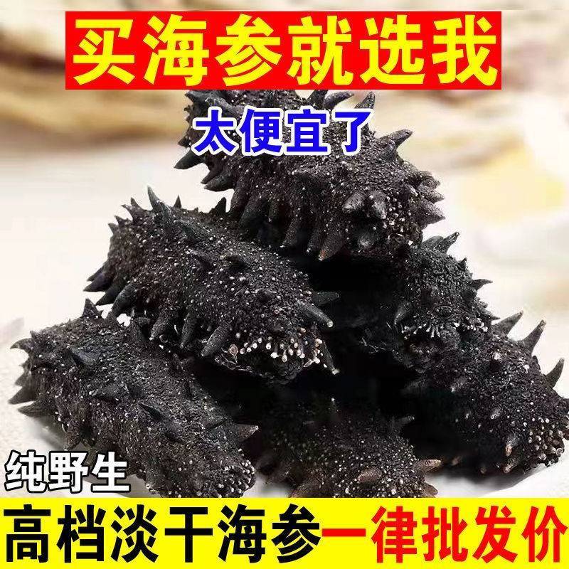 大连海参辽参规格齐全工厂价格一斤也是批发价