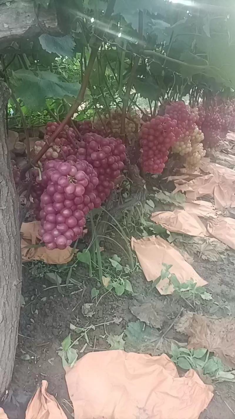 精品水晶质量保证产地直发全国发货量大从优