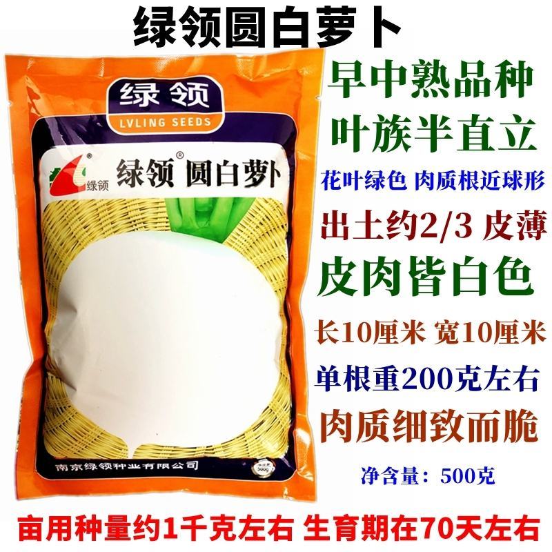 绿领圆白萝卜种子，