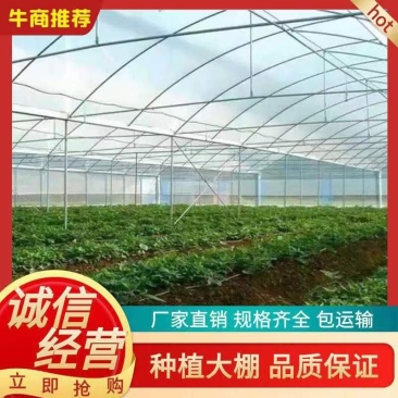 蔬菜棚西瓜棚草莓棚教安装保质量可定制