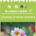 小丽花种子重瓣四季开花易种活室内阳台盆栽庭院多年生花籽