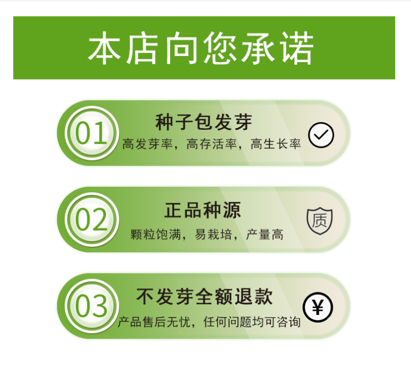 小丽花种子重瓣四季开花易种活室内阳台盆栽庭院多年生花籽