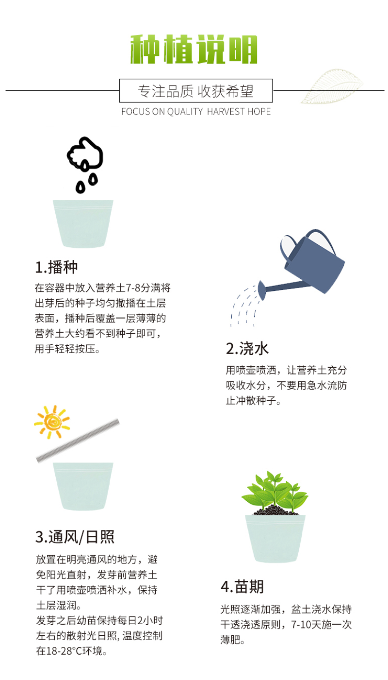 小丽花种子重瓣四季开花易种活室内阳台盆栽庭院多年生花籽